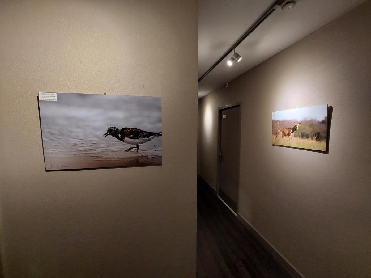 Logis Hotel - Les Pasteliers Lavaur  Ngoại thất bức ảnh